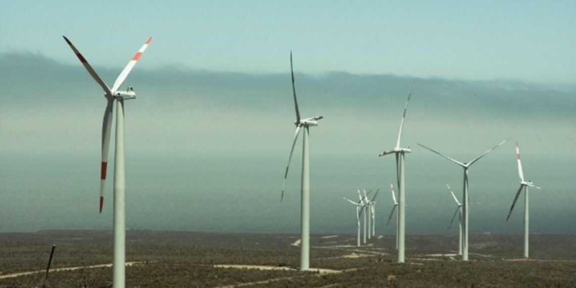 Nuevo parque eólico en Chubut comienza a despachar energía
